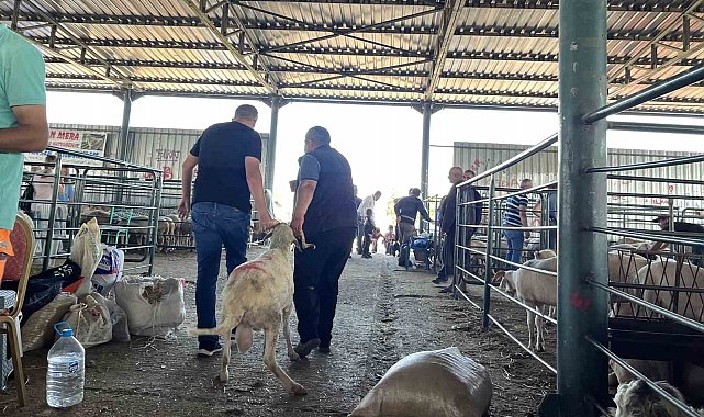 Bayramın birinci günü kurban pazarında yoğunluk yaşanıyor