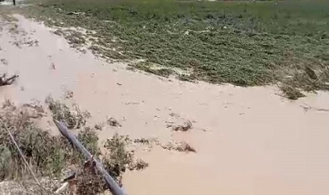 Ereğli'de dolu ve sel çiftçiyi vurdu