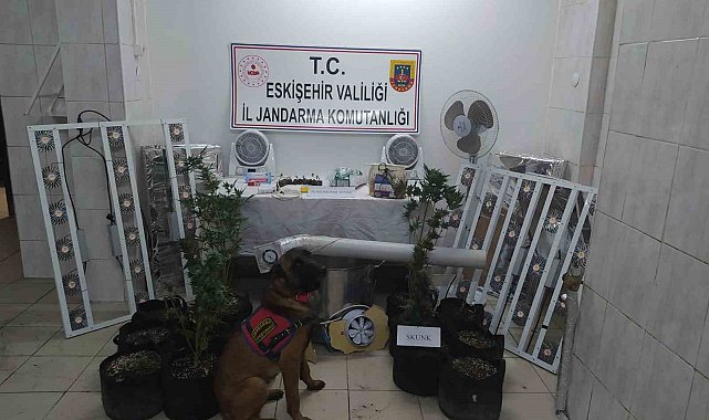 Jandarmanda Seyitgazi'de uyuşturucu operasyonu