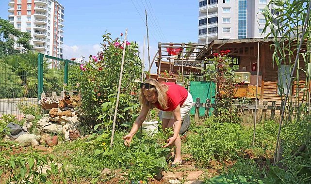 Kanser hastası kadın, hobi bahçesiyle hayata tutundu