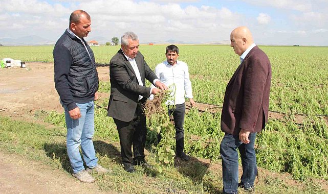 Karaman'da dolu ekili arazilere zarar verdi, tarlalar kış mevsimi gibi beyaza büründü