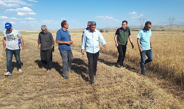 Kırşehir'de ilk tarımsal ürün hasadı yapıldı