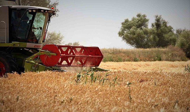Konya Ovasında hasat sezonu yaklaşırken çiftçilere ürün satış uyarısı