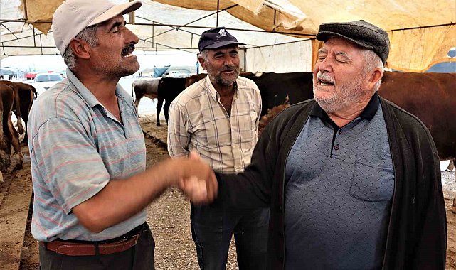 Kurbanlıklar görücüye çıktı, sıkı pazarlıklar başladı