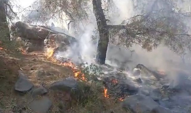 Mersin'de orman yangını, 4 dönüm zarar gördü