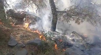 Mersin'de orman yangını, 4 dönüm zarar gördü