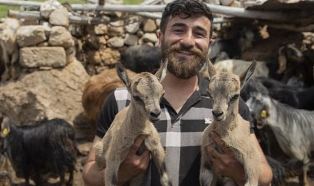 Öksüz kalan yaban keçileri "Munzur" ve "Dersim"den güzel haber