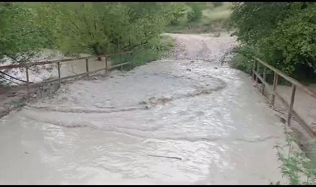 Sağanak yağış ekili arazileri sular altında bıraktı