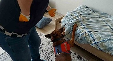 Yatak altından uyuşturucu çıktı