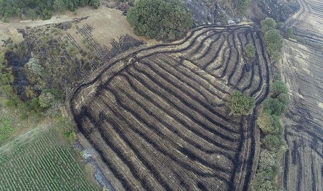 Çanakkale'deki orman yangını 52 saat sonra kontrol altına alındı