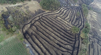 Çanakkale'deki orman yangını 52 saat sonra kontrol altına alındı