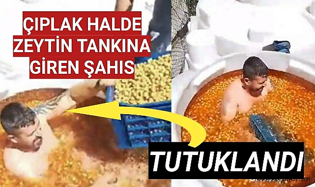 Görüntüler sosyal medyada infial yaratmıştı... Çıplak halde zeytin tankının içine giren kişi tutuklandı!