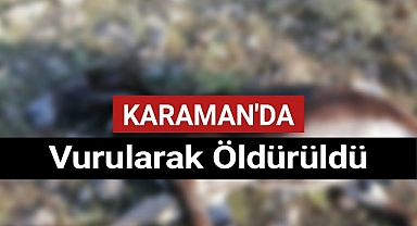 Karaman'da Tüfekle Vurularak Öldürüldü