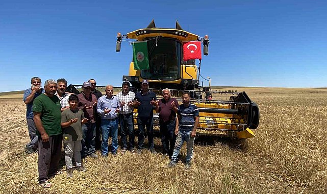 Kulu'da arpa ve buğday hasadı başladı