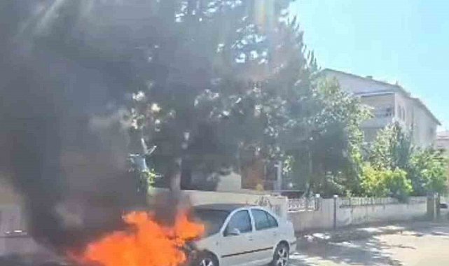 Park halindeki araç alev alev yandı