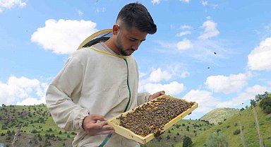 Tescilli Zara Balı'nda rekoltede düşüş bekleniyor