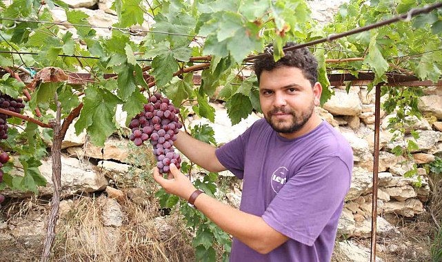 13 ülkeden 450 çeşit üzüm aynı bölgede yetişiyor
