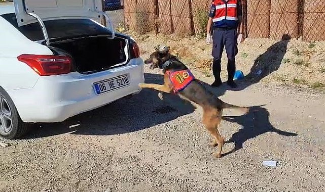 'Raket' tepki verdi, 7 kilo 428 gram esrar ele geçirildi