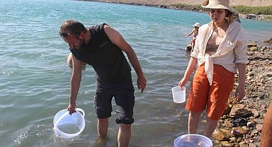 Acıgöl'deki tuzla karidesi deney için incelemeye alındı