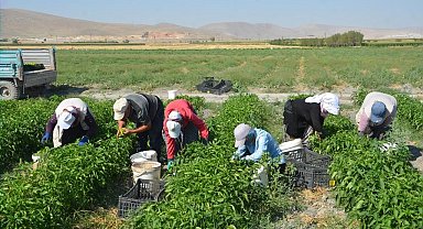 Adabağ'da üretilen organik ürünler tarladan direkt halka ulaşıyor