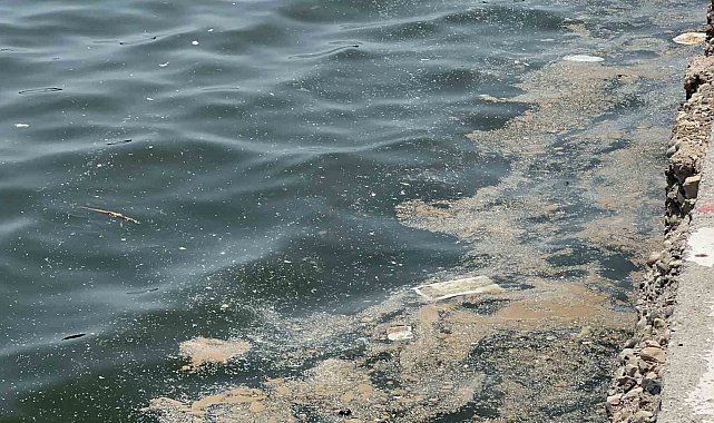 Akdeniz'de mikroplastik alarmı: "Her 1 kilometre karede 8 milyonun üzerinde mikroplastik tespit edildi"