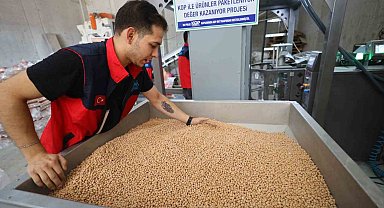 Aksaray Belediyesi hasat ettiği nohutları ihtiyaç sahiplerine ulaştırıyor