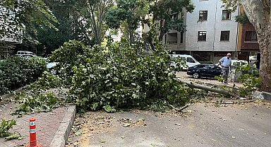 Ankara'da fırtına etkili oldu, ağaçlar araçların üzerine devrildi