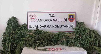 Ankara'da iki ayrı hobi bahçesinde uyuşturucu operasyonu