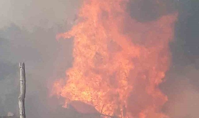 Ankara'da kırsal alanda korkutan yangın