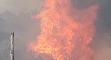 Ankara'da kırsal alanda korkutan yangın