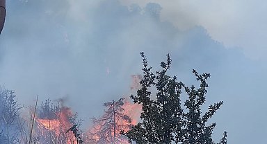 Ankara'da orman yangını