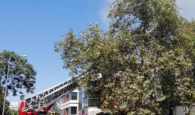 Ankara'da oto lastikçide çatı yangını