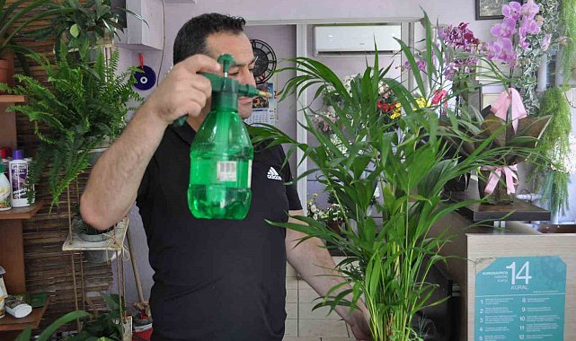 Artan sıcaklarda çiçek bakımına ekstra dikkat edilmeli