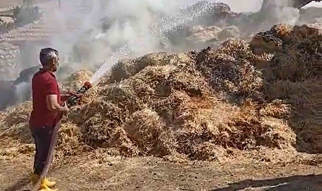 Bahçesini temizlemek isteyen çiftçi bir yıllık emeğini yaktı: 3 bin saman balyası küle döndü