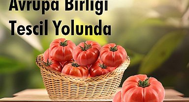 Bakan Kacır: "Ayaş domatesi, inceleme süreçlerinin tamamlanmasıyla AB Resmi Gazetesi'nde yerini aldı"