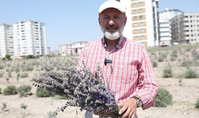 Başkan Çolakbayrakdar: "Şehri renklendiren lavanta bahçesinin sayısını artıracağız"