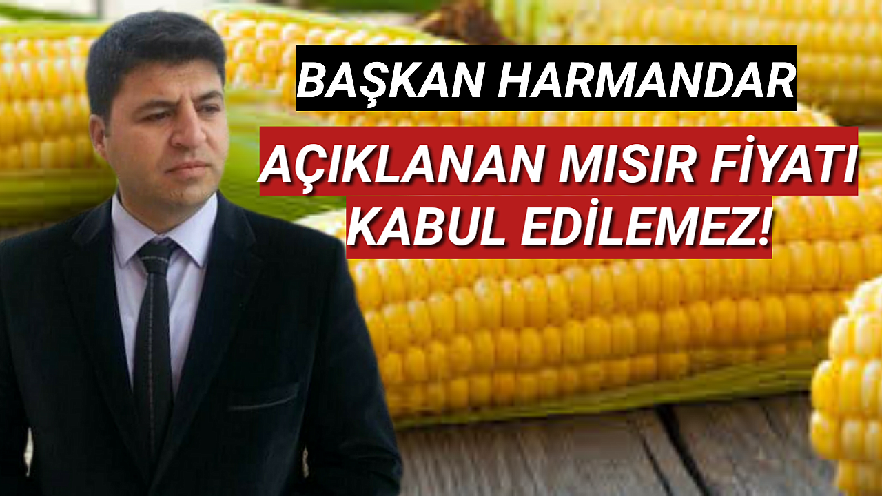 Başkan Harmandar