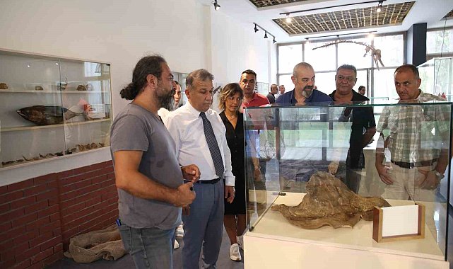 Bölgenin ilk deniz canlıları müzesi Mersin'de açılıyor