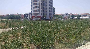 Bu parkın yapımı neden yarım bırakıldı?