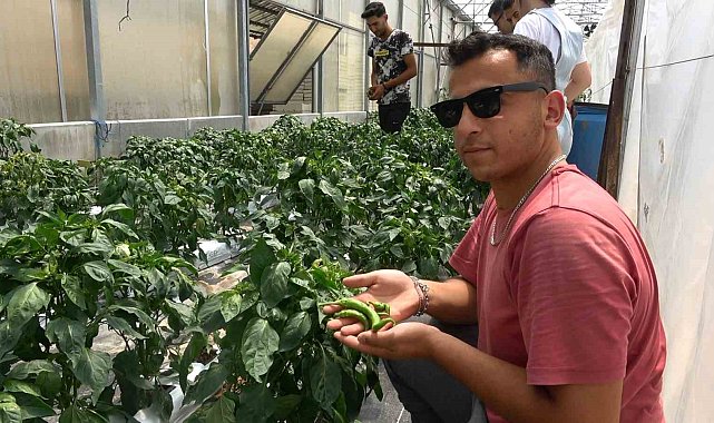 Bu seralarda üretim üniversite öğrencilerinden soruluyor