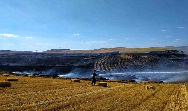 Çankırı'da anız yangını