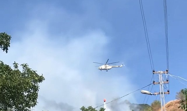 Çankırı'da orman yangını