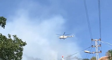 Çankırı'da orman yangını