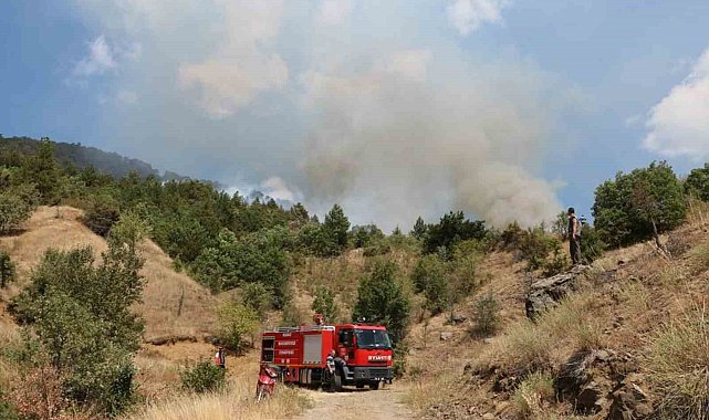 Çankırı'daki orman yangını kontrol altına alındı