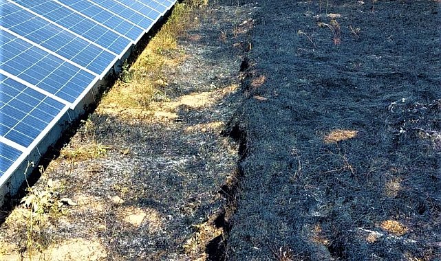 Çöpleri yakmak isterken 20 dönüm ekili araziyi küle çevirdi