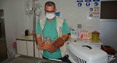 Çukurova'nın tedavi ve rehabilitasyon merkezi: Tarsus Doğa Parkı