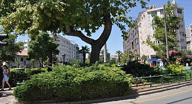 Dalı enerji tellerine devrilen ağaç budandı