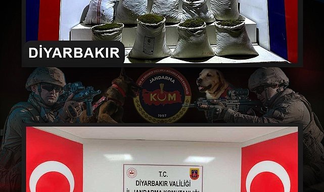 Diyarbakır'da 2 milyon 425 bin kök kenevir ve skunk bitkisi ele geçirildi