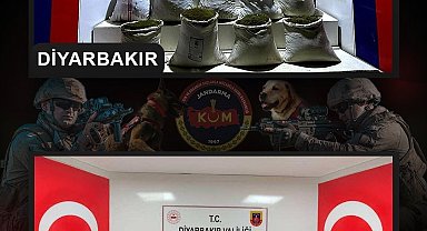 Diyarbakır'da 2 milyon 425 bin kök kenevir ve skunk bitkisi ele geçirildi