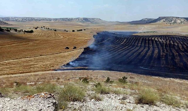 Eskişehir'de 3 farklı noktada orman yangını çıktı